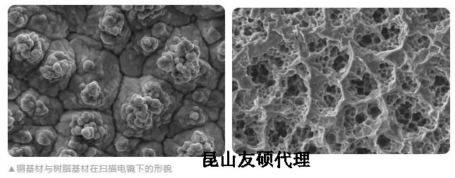 广东蔡司广东扫描电镜